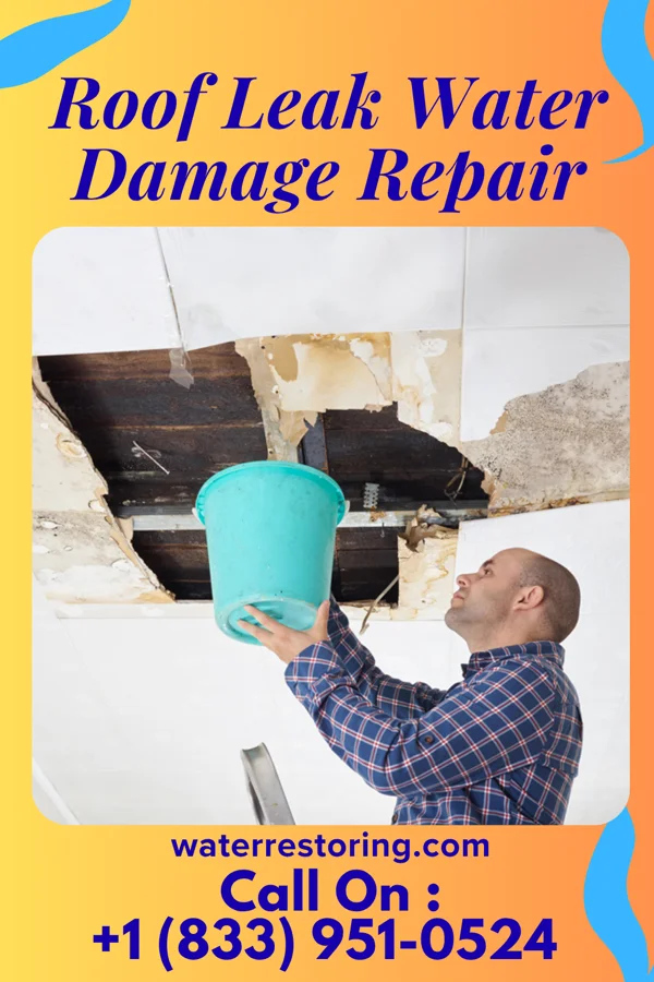 Roof Leak Water Damage Repair in Mount Washington, KY