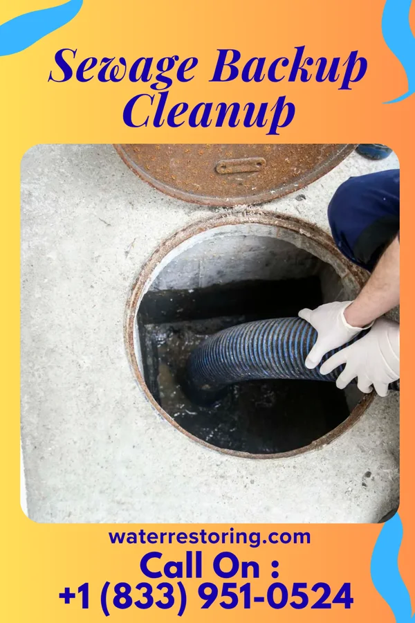 Sewage Backup Cleanup in Mount Washington, KY